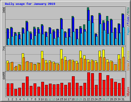 Daily usage for January 2019