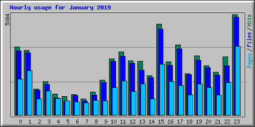 Hourly usage for January 2019