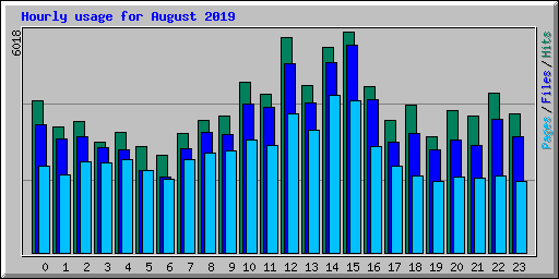 Hourly usage for August 2019